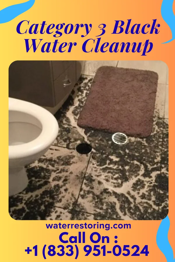 Category 3 Black Water Cleanup in Menlo Park Terrace, NJ
