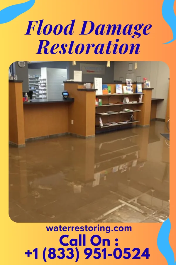 Flood Damage Restoration in Menlo Park Terrace, NJ