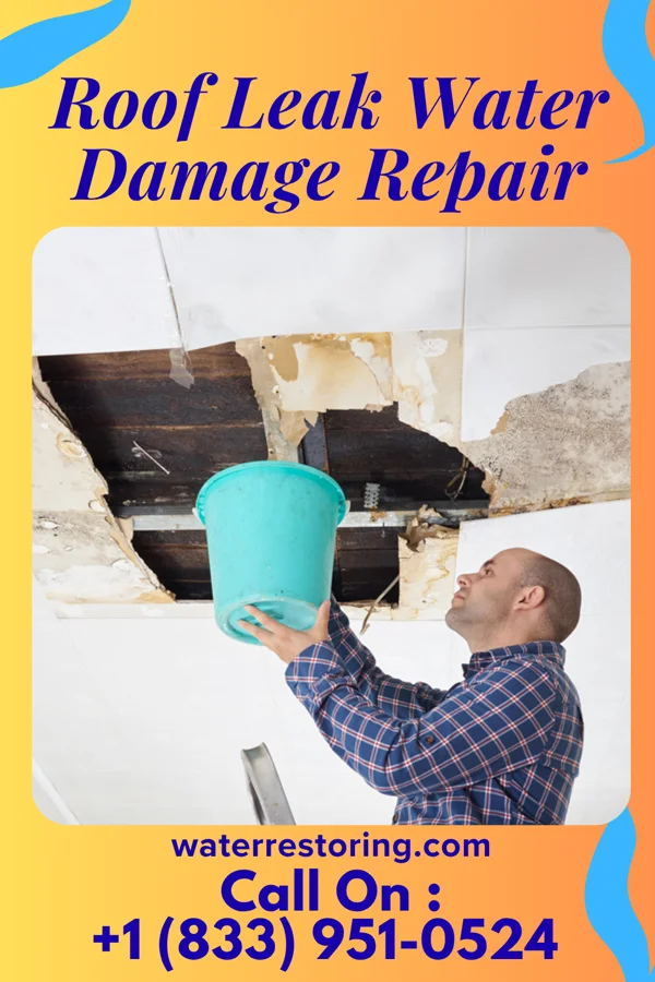 Roof Leak Water Damage Repair in Menlo Park Terrace, NJ