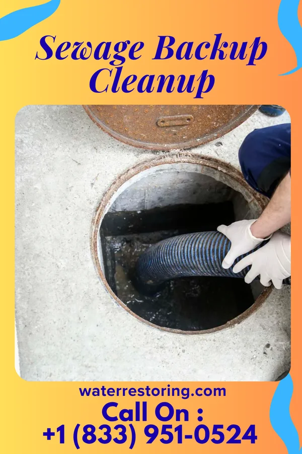 Sewage Backup Cleanup in Menlo Park Terrace, NJ